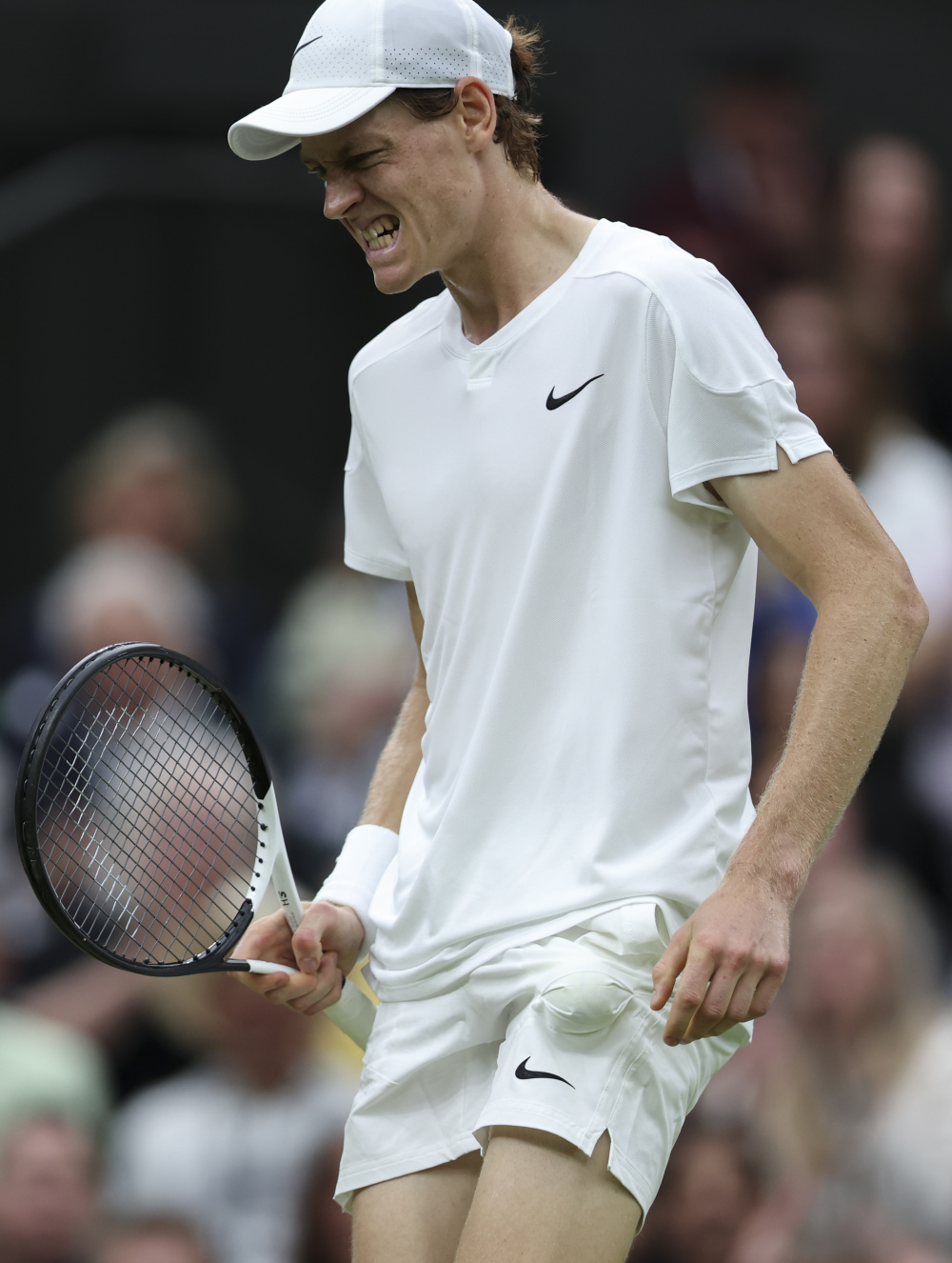 职业生涯的 职业生涯的