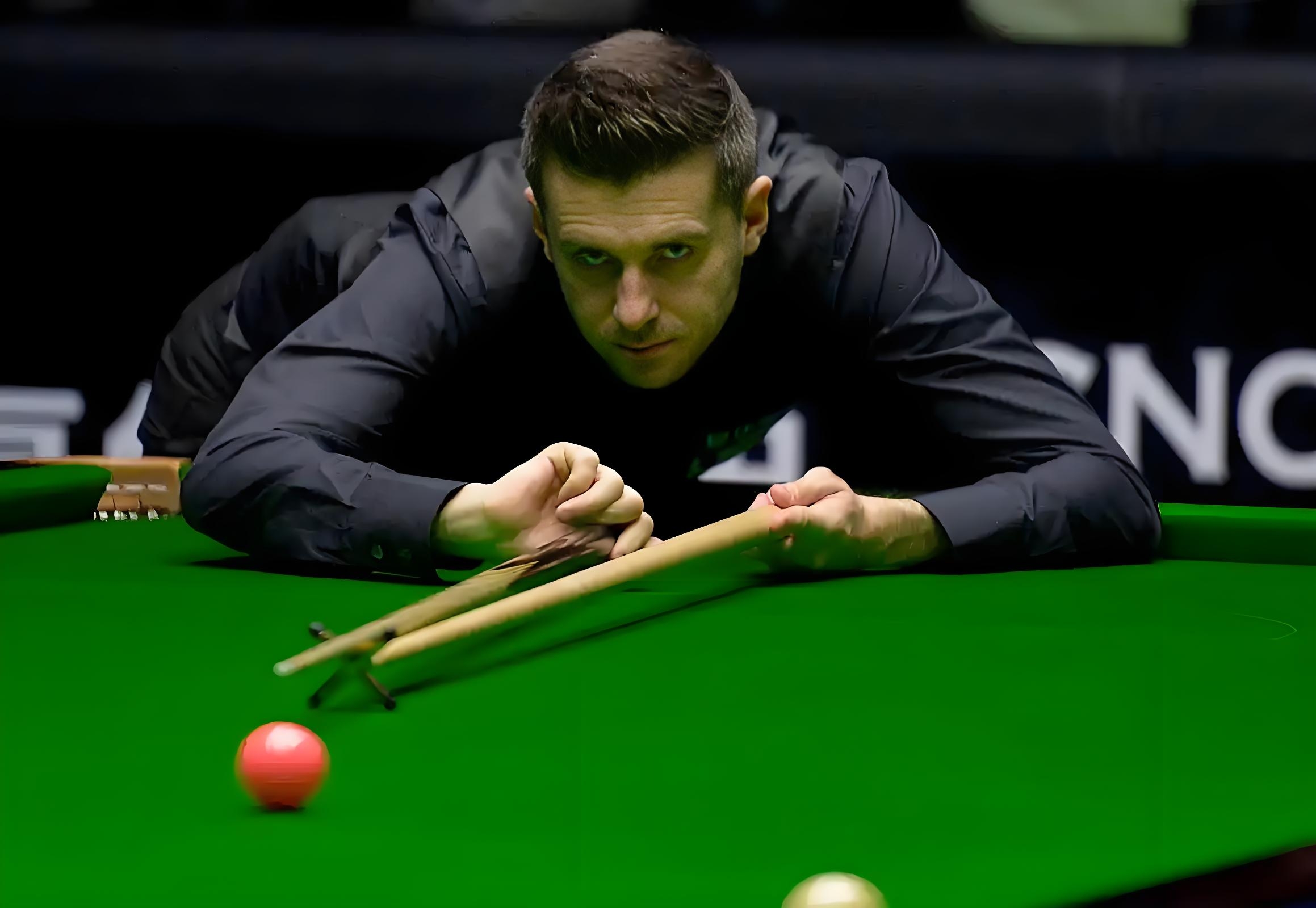 我们期待在 我们期待在