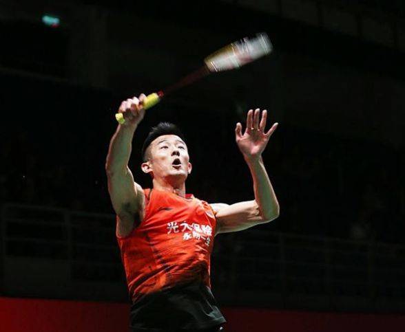 条可验证的 条可验证的